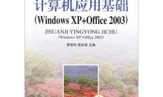 xp能装office2010吗 XP系统可以安装office2010吗